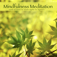 Tranquility Experts - Mindfulness Meditation: Sounds of Nature for Breath Rhythm for Beginners