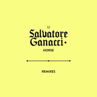 Salvatore Ganacci - Horse Remixes