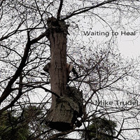 Mike Trudel - Waiting to Heal