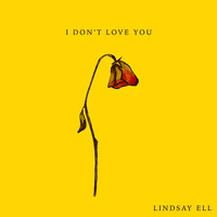 Lindsay Ell - I Don't Love You