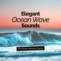 The Ocean Research Forum - Elegant Ocean Wave Sounds
