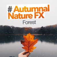 Forest - # Autumnal Nature FX