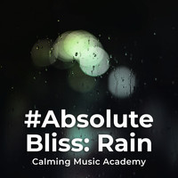 Calming Music Academy - #Absolute Bliss: Rain