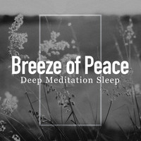 Deep Meditation Sleep - Breeze of Peace