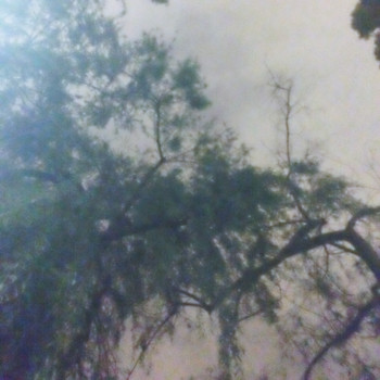 Lio - Sainte (Explicit)