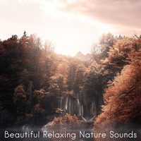 Nature Sounds, Música Relajante, Relaxing Music Therapy - Beautiful Relaxing Nature Sounds