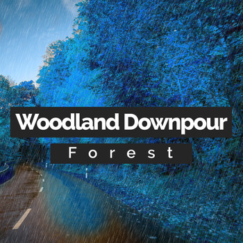 Forest - Woodland Downpour