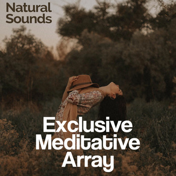 Natural Sounds - Exclusive Meditative Array