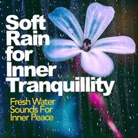 Fresh Water Sounds For Inner Peace - Soft Rain for Inner Tranquillity