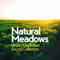 Green Meditation Sound Collectors - Natural Meadows