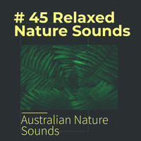 Australian Nature Sounds - # 45 Relaxed Nature Sounds
