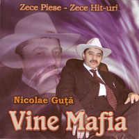 Nicolae Guță - Vine Mafia