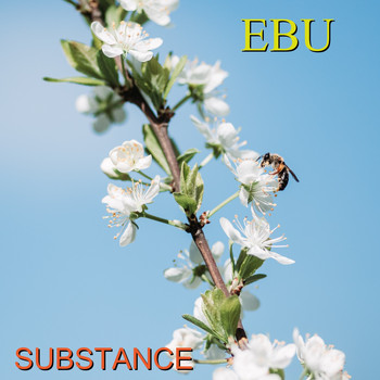 Substance - Ebu