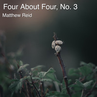 Matthew Reid - Four About Four, No. 3