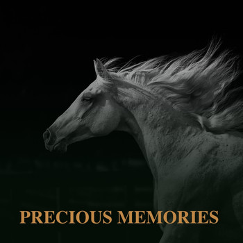 Jim Reeves - Precious Memories (Explicit)