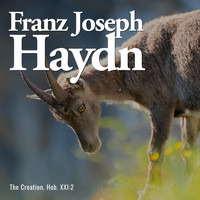 Franz Joseph Haydn - The Creation, Hob. XXI:2