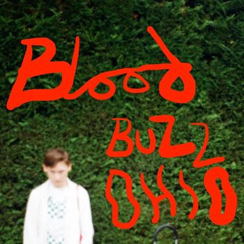 Soak - Bloodbuzz Ohio