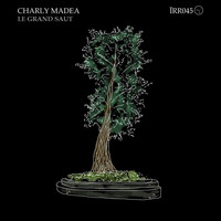 Charly Madea - Le grand saut