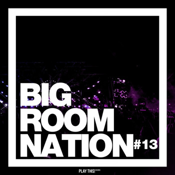 Various Artists - Big Room Nation, Vol. 13