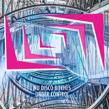 Nu Disco Bitches - Under Control