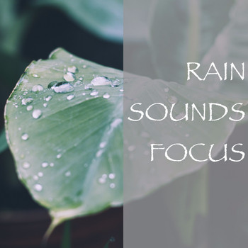 Various Artists - Rain Sounds Focus