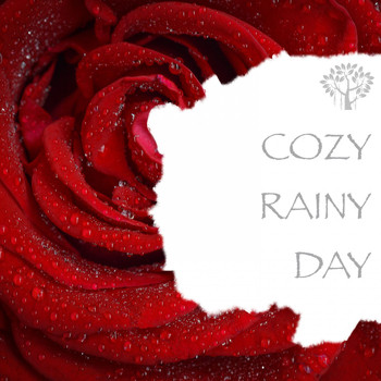 Natural Spirit & Thunderstorms - Cozy Rainy Day