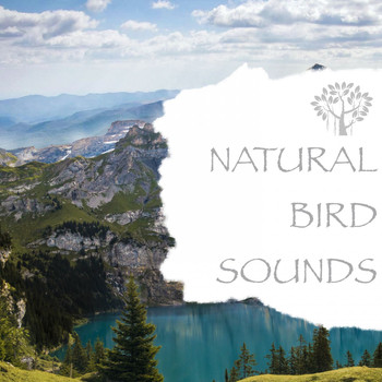 Natural Spirit & Nature And Bird Sounds - Natural Bird Sounds