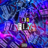 Liq - FLY (Explicit)