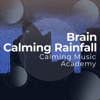 Calming Music Academy - Brain Calming Rainfall