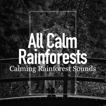 Calming Rainforest Sounds - All Calm Rainforests