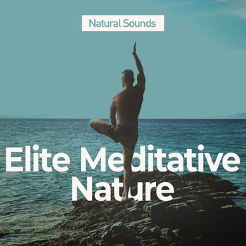 Natural Sounds - Elite Meditative Nature