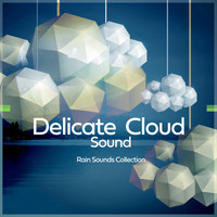 Rain Sounds Collection - Delicate Cloud Sound
