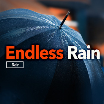 Rain - Endless Rain