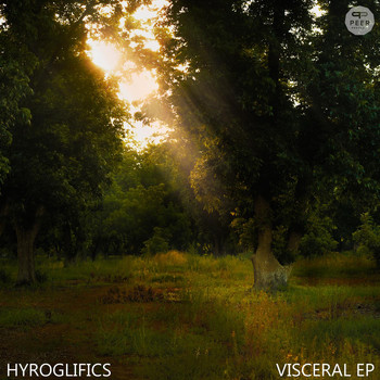 Hyroglifics - Visceral EP
