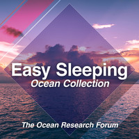 The Ocean Research Forum - Easy Sleeping Ocean Collection