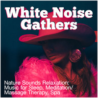 Nature Sounds Relaxation: Music for Sleep, Meditation/ Massage Therapy, Spa - White Noise Gathers