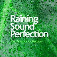 Rain Sounds Collection - Raining Sound Perfection