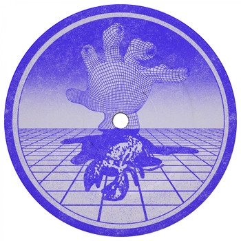 Shedbug - Timeframe