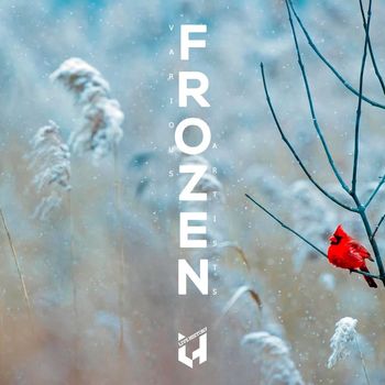 Various Artists - Frozen