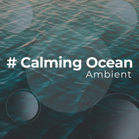 Ambient - # Calming Ocean