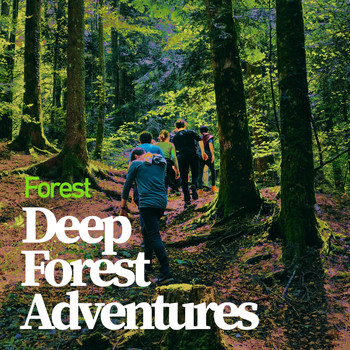 Forest - Deep Forest Adventures