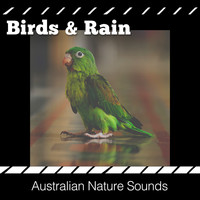 Australian Nature Sounds - Birds & Rain