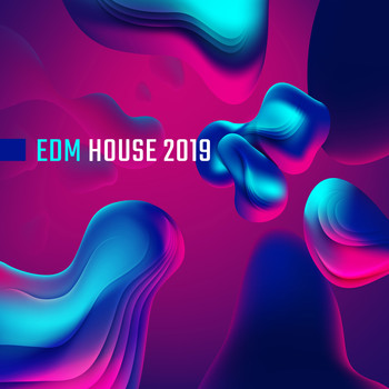 Future Sound of Ibiza, Electronic Music Zone, Chill Out 2018 - EDM House 2019: Bumpy Beats, Clubbing Music, Dance Songs, Essential Party Album