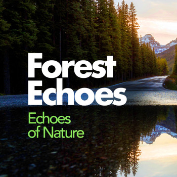 Echoes Of Nature - Forest Echoes