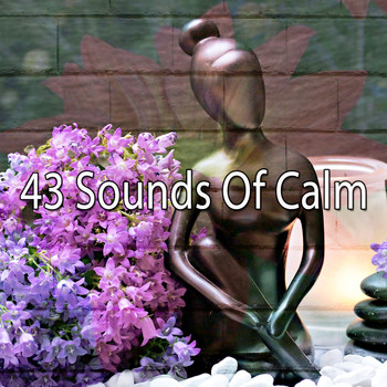 Yoga - 43 Sounds of Calm