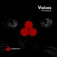 Pipo Rodriguez - Voices