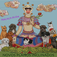 Novos Planos Inclinados - Macaca Buda