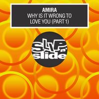 Amira - Why Is It Wrong To Love You, Pt. 1