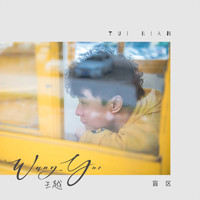 王越 - 盲区