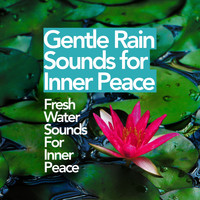 Fresh Water Sounds For Inner Peace - Gentle Rain Sounds for Inner Peace